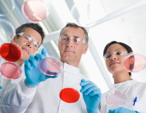 广州供卵做第三代试管婴儿多少钱?成功率怎么样? 广州供卵做第三代试管婴儿多少钱?成功率怎么样?