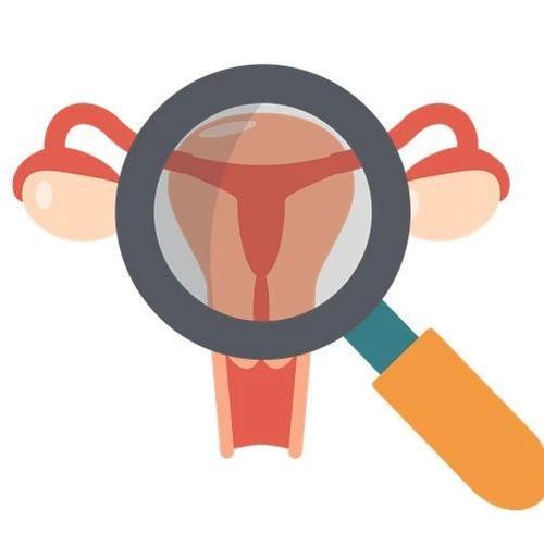 45岁以上大龄供卵试管论坛:绝经还能做试管吗?高龄试管成功率? 45岁以上大龄供卵试管论坛:绝经还能做试管吗?高龄试管成功率?