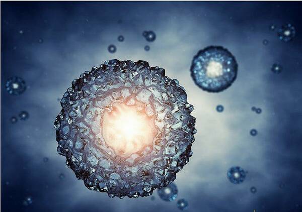 广州供卵试管移植经历:供卵试管的流程和步骤,有什么风险吗? 广州供卵试管移植经历:供卵试管的流程和步骤,有什么风险吗?